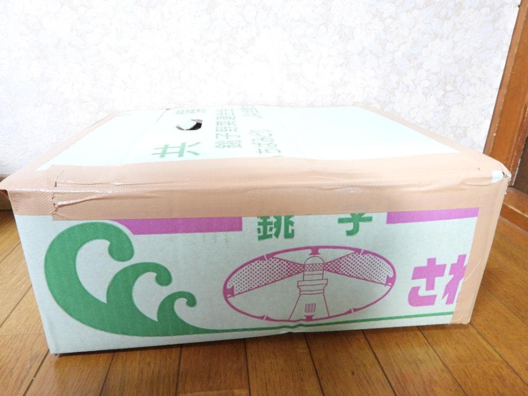 ICOM ハイパワートランシーバ IC-DPR6　２台セット