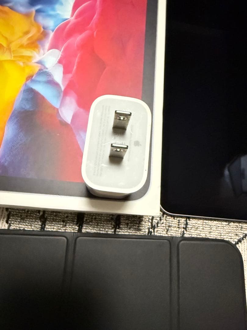 iPad Pro 11インチ(第2世代）256GB Wi-Fi+Cellular