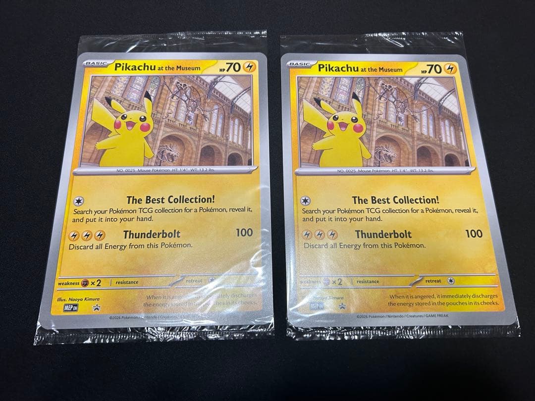 【最安値】Pikachu at the Museum 10枚セット