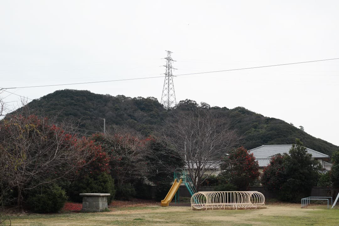 【美品】Carl Zeiss Planar 50mm F1.4 MMJ 954