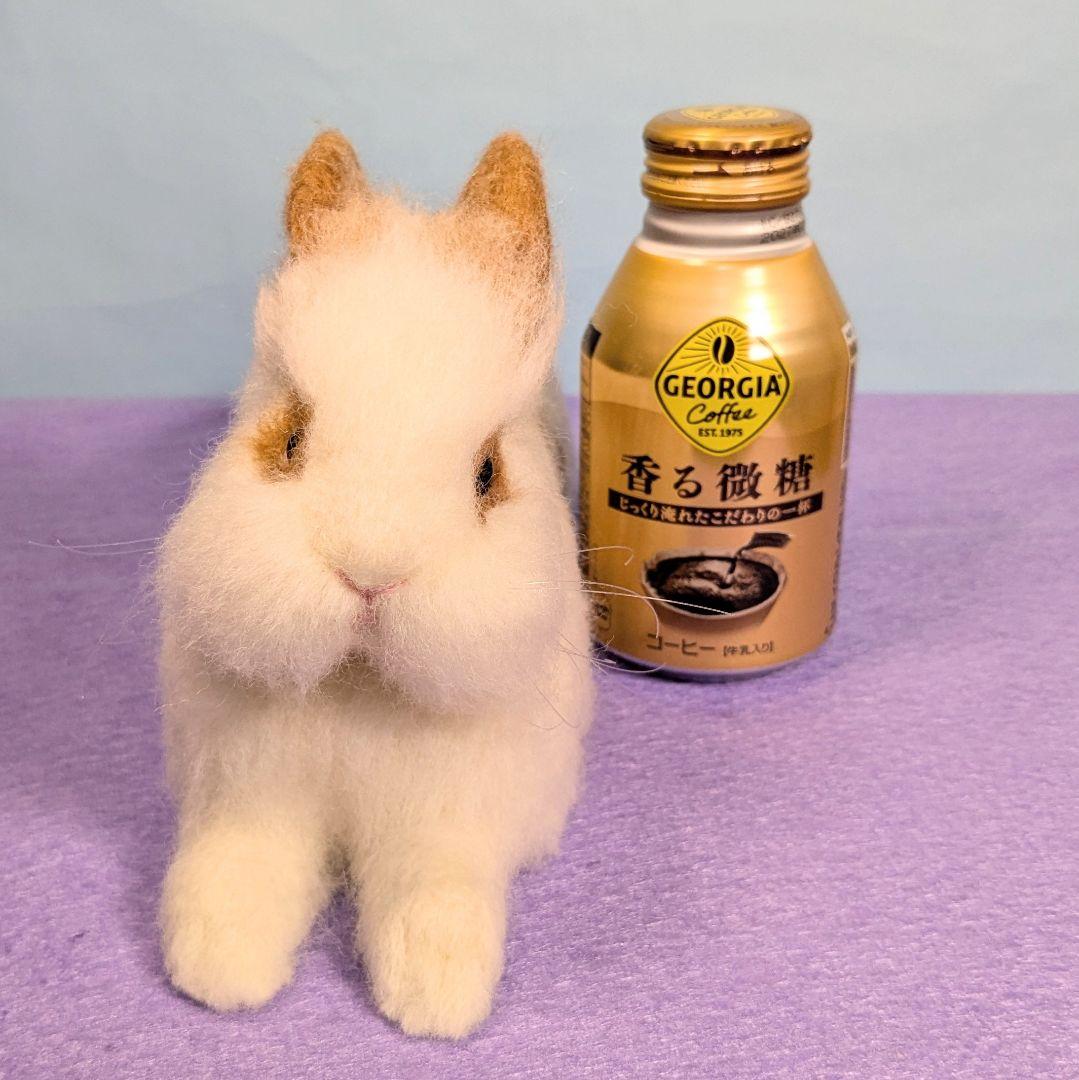 Masa様オーダー　羊毛フェルト　うさぎ　のびーーーるライオンラビット確認用
