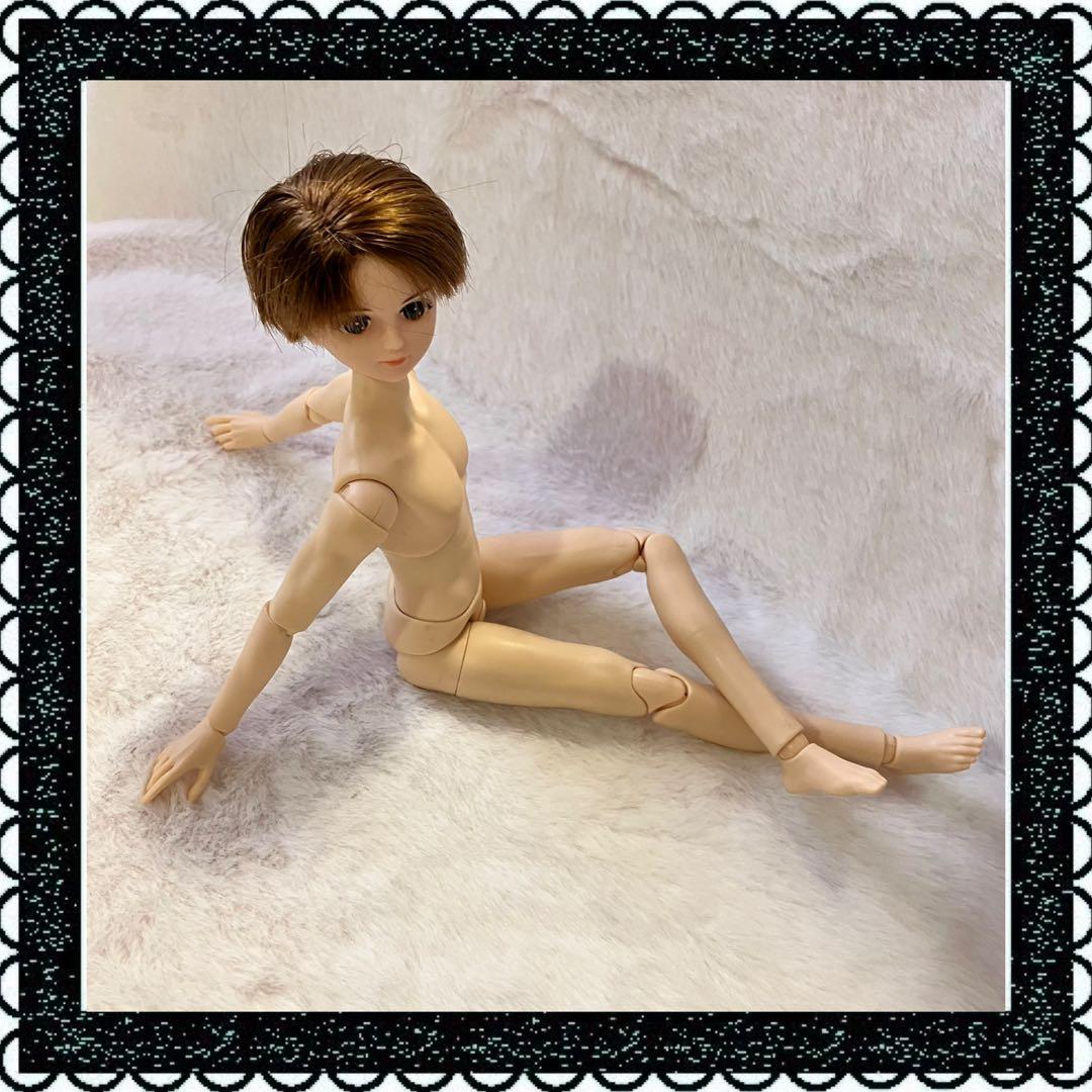 リカちゃん ボーイフレンド レンくん 可動ボディ YMY25ボディ 服おまとめ付