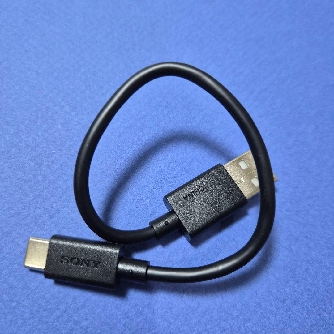 SONY WF-LS910N/GZ ケースのみ