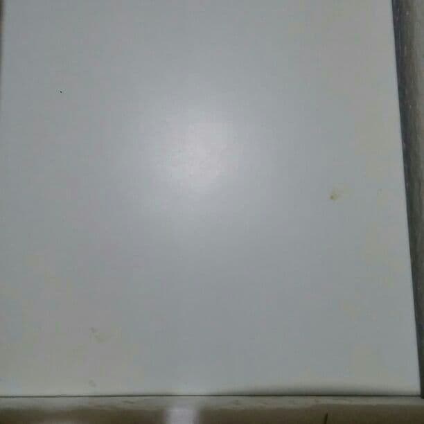 新品 コレクションボックスホワイト