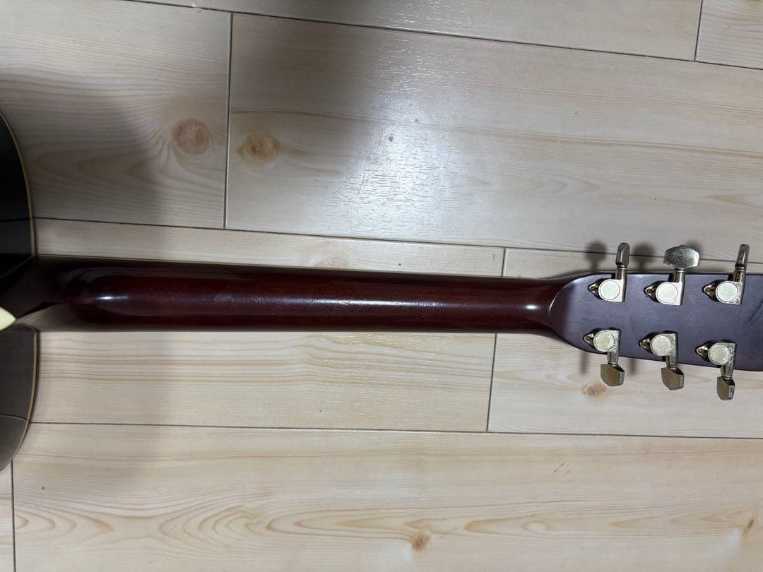 Morris MD-520 アコースティックギター