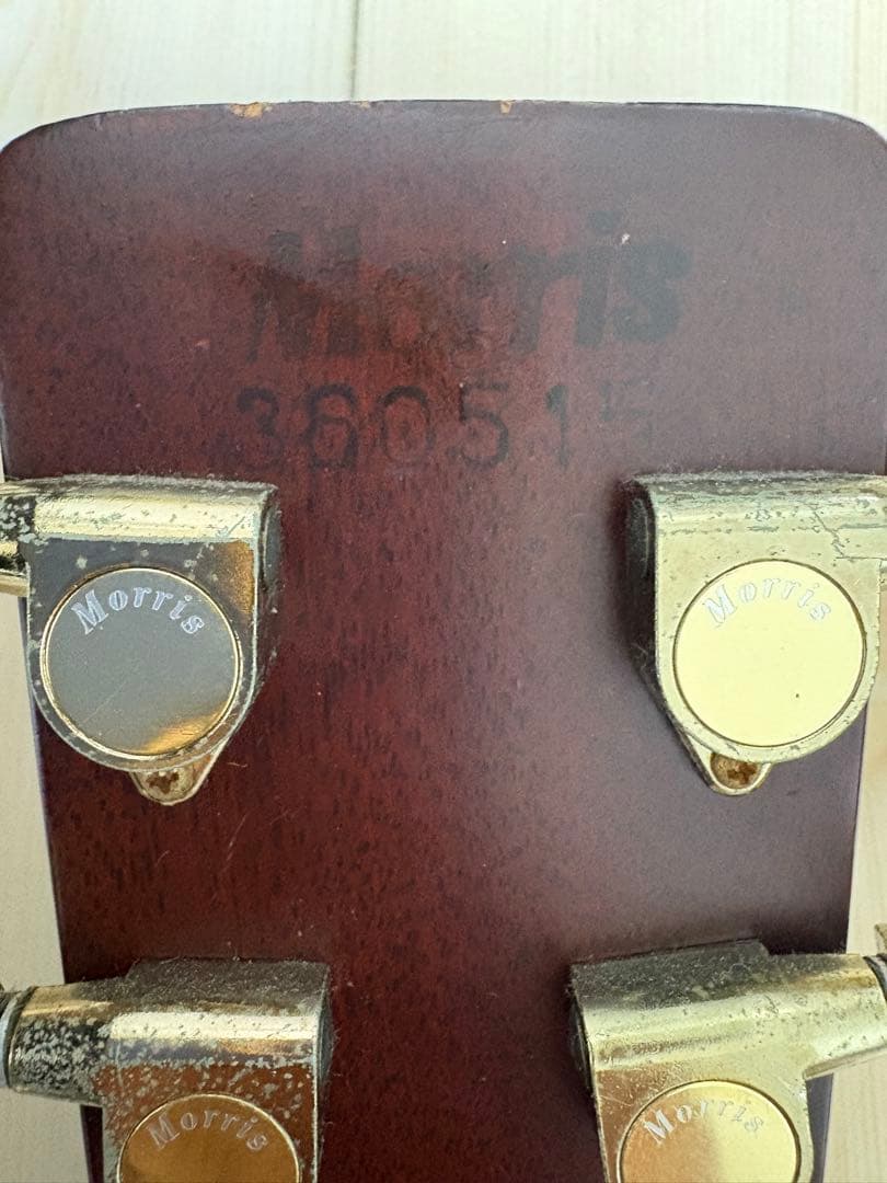 Morris MD-520 アコースティックギター