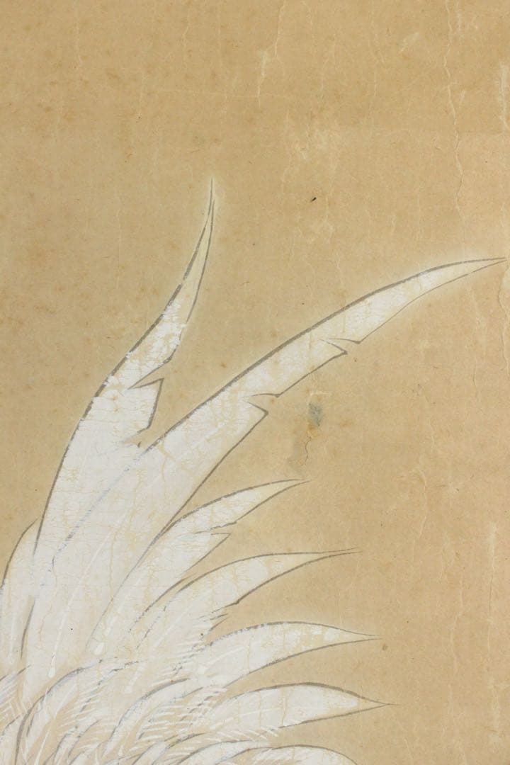 No5734 掛軸　作者不詳　在印　鶏図　紙本着色　日本画　鳥獣　古画　送料無料