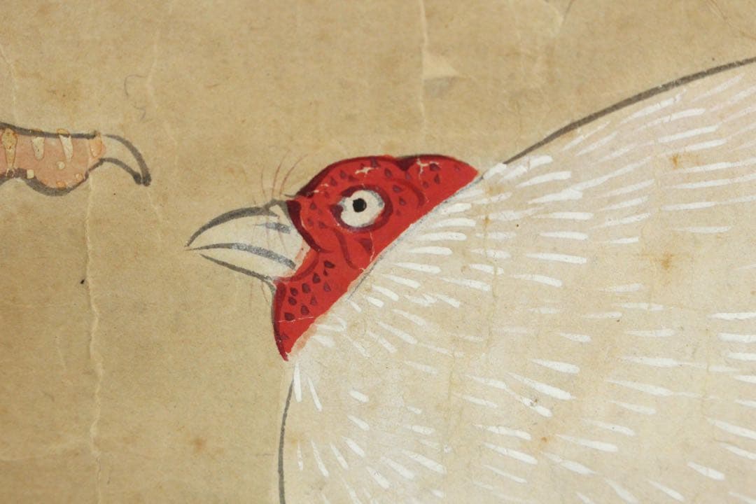 No5734 掛軸　作者不詳　在印　鶏図　紙本着色　日本画　鳥獣　古画　送料無料