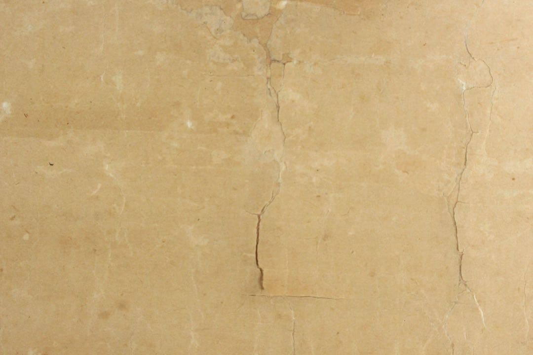 No5734 掛軸　作者不詳　在印　鶏図　紙本着色　日本画　鳥獣　古画　送料無料