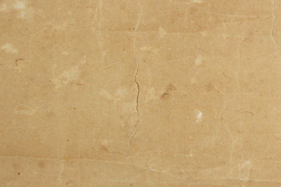 No5734 掛軸　作者不詳　在印　鶏図　紙本着色　日本画　鳥獣　古画　送料無料