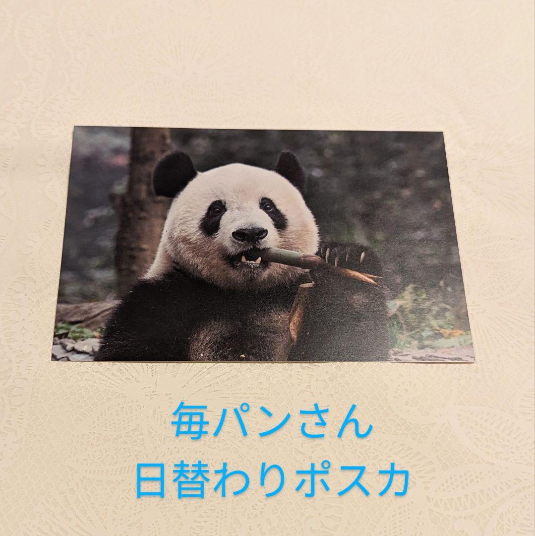 シャンシャン様♡ご確認用♡ふわもこシャオレイちゃん♡セットアップコスチューム生地