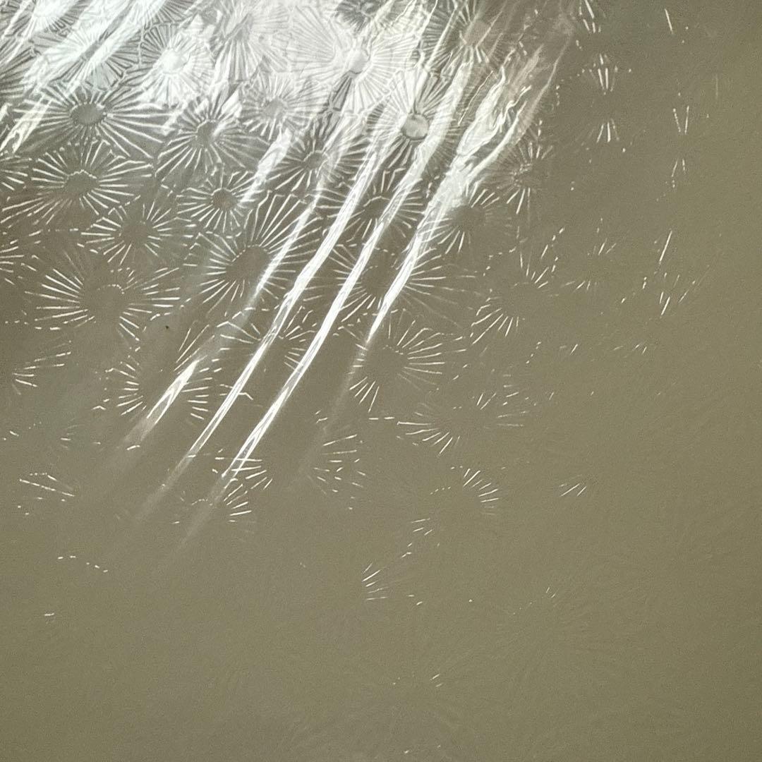 ⭐️新品⭐️グラスアートフィルム　限定フィルム10枚セット