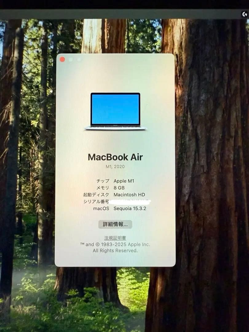 MacBook本体 Apple MacBook Air 13-inch (m1 2020)