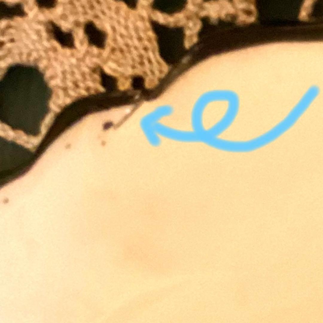 トルコ キュタフヤ焼 手書き 飾り皿 26cm ①