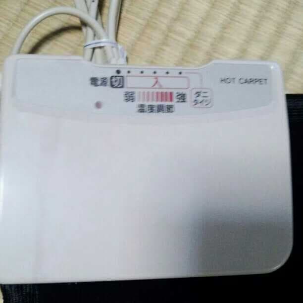 ヒステリック　ホットカーペット