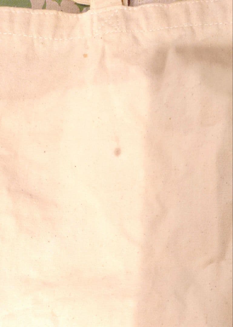 家庭教師ヒットマンREBORN! 2011年 リボTコレクション トートバッグ