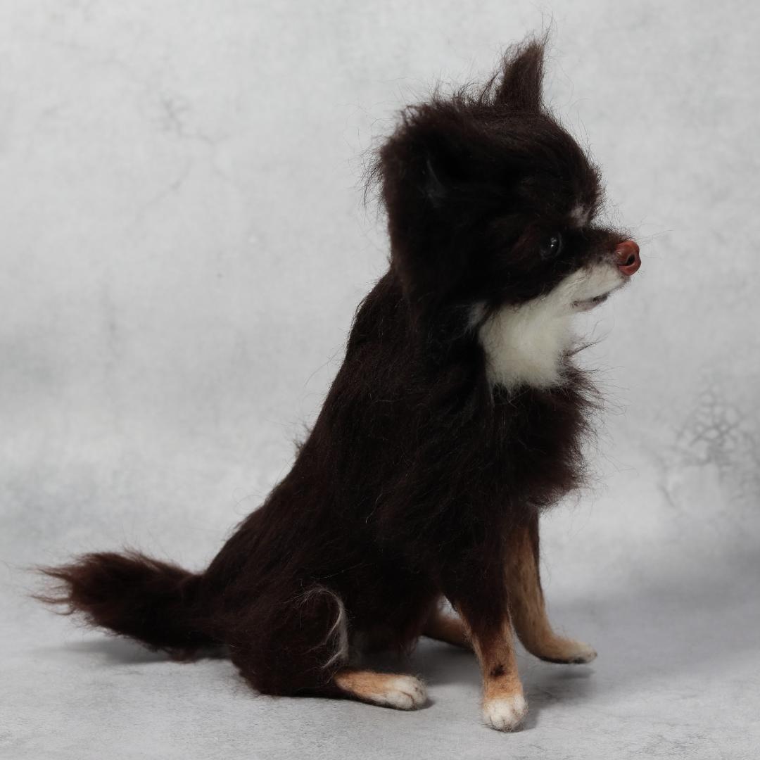 ぬんさま専用　羊毛フェルト　犬　チワワ　Mサイズ　オーダー