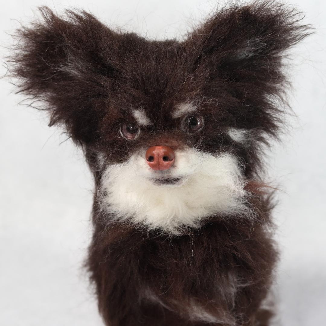 ぬんさま専用　羊毛フェルト　犬　チワワ　Mサイズ　オーダー