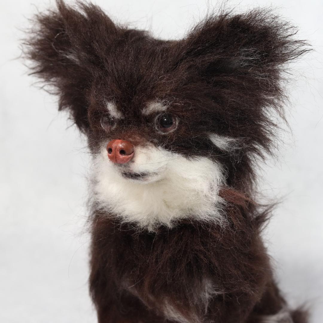 ぬんさま専用　羊毛フェルト　犬　チワワ　Mサイズ　オーダー