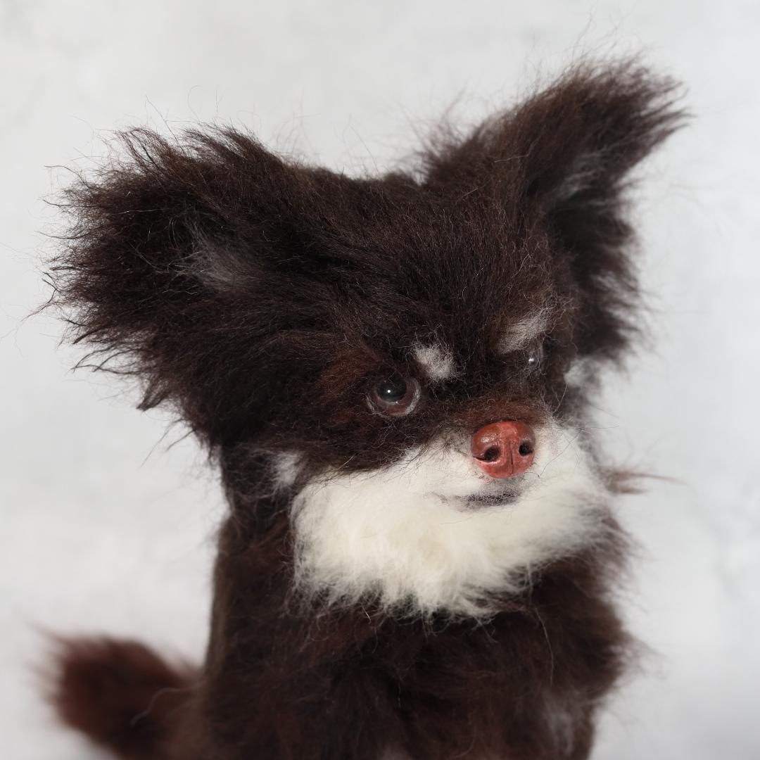 ぬんさま専用　羊毛フェルト　犬　チワワ　Mサイズ　オーダー