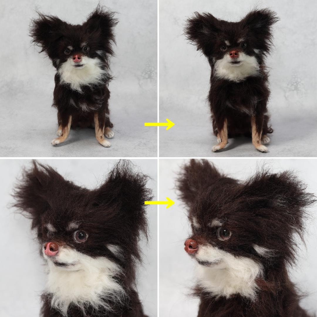 ぬんさま専用　羊毛フェルト　犬　チワワ　Mサイズ　オーダー