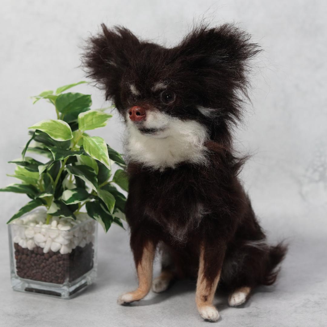 ぬんさま専用　羊毛フェルト　犬　チワワ　Mサイズ　オーダー