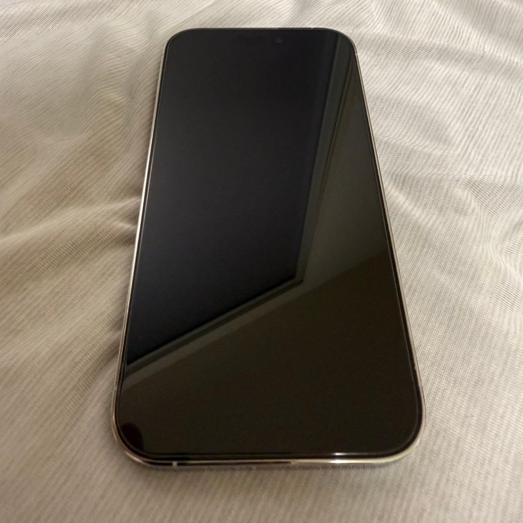 Apple iPhone 14 Pro 256シルバー 箱付き