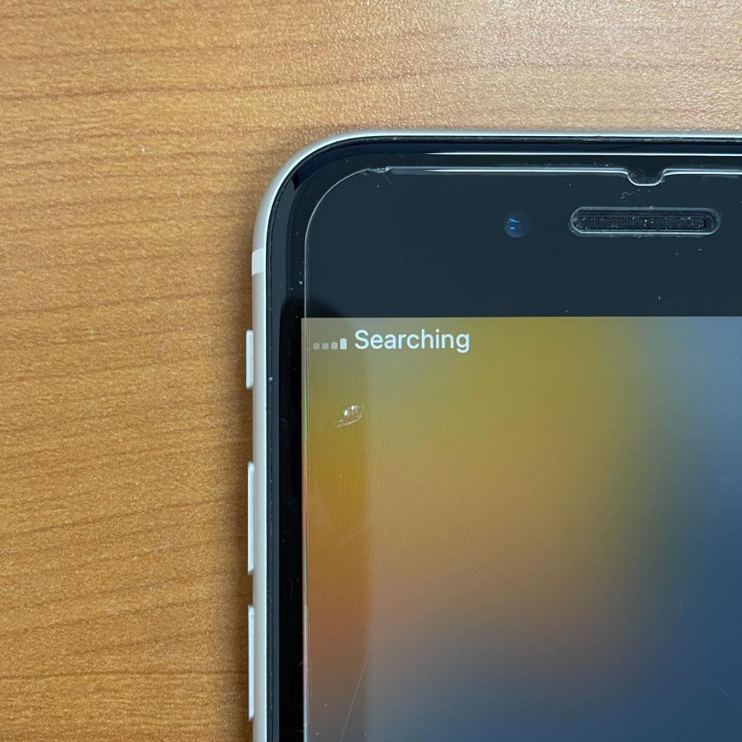 中*山様 動作確認済み iPhone SE 128GB ID:F0390