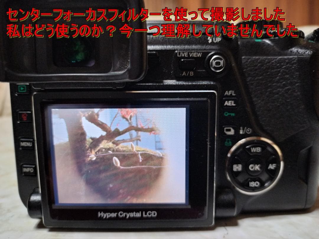 【世界初ライブビュー機】OLYMPUS E-330 豪華フルセット★歴史的名機！