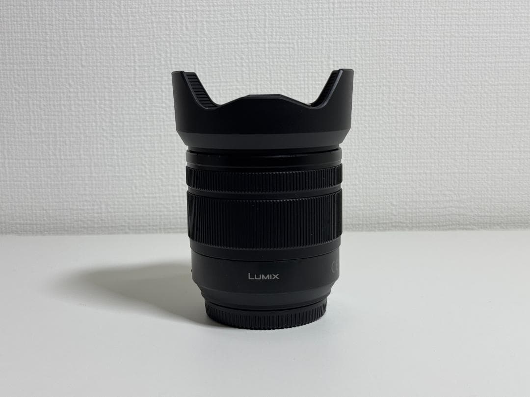 ［最終値下げ］Panasonic LUMIX DC-GH5M V-Log拡張済