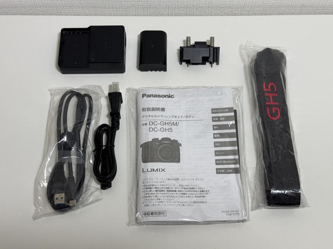 ［最終値下げ］Panasonic LUMIX DC-GH5M V-Log拡張済