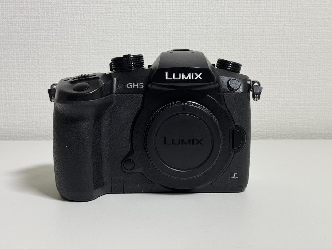 ［最終値下げ］Panasonic LUMIX DC-GH5M V-Log拡張済