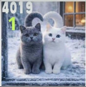 オーダーページ　4019 ハンカチ　ねこちゃん柄　再出品