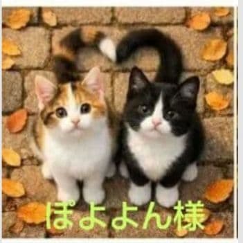 オーダーページ　4019 ハンカチ　ねこちゃん柄　再出品