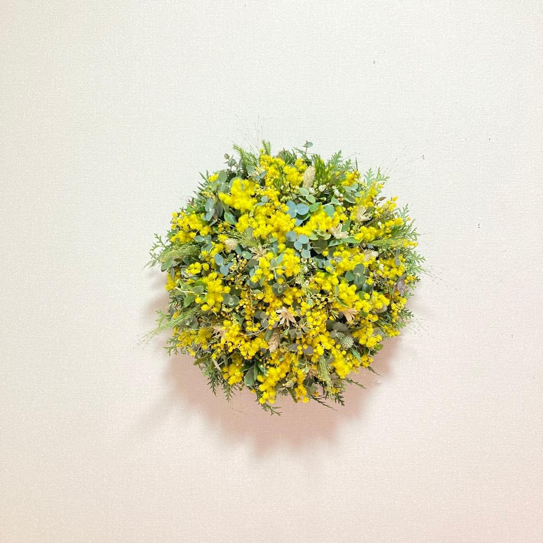 パールアカシアノンホールリース　40cm