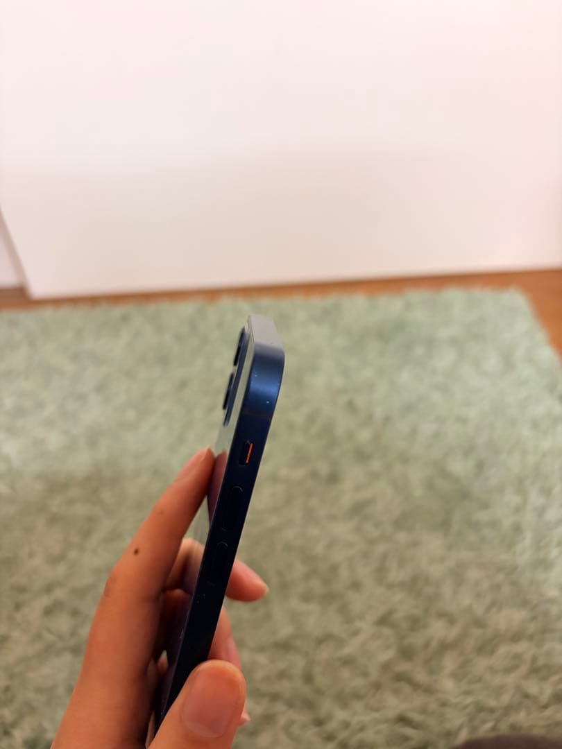【カメラ音なし】Apple iPhone 12 青