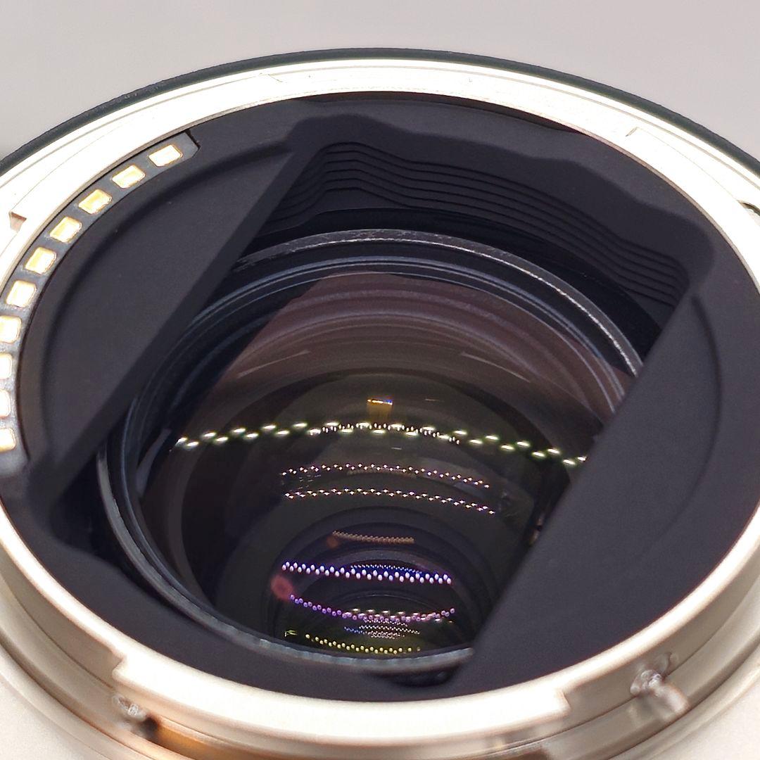 TAMRON タムロン 28-300mm レンズ SONY Eマウント A074