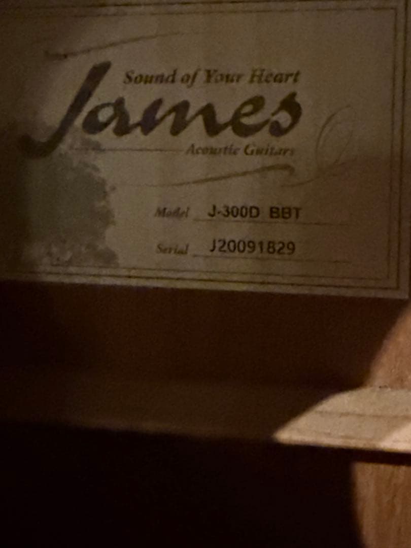 James J-300D BBT アコースティックギター