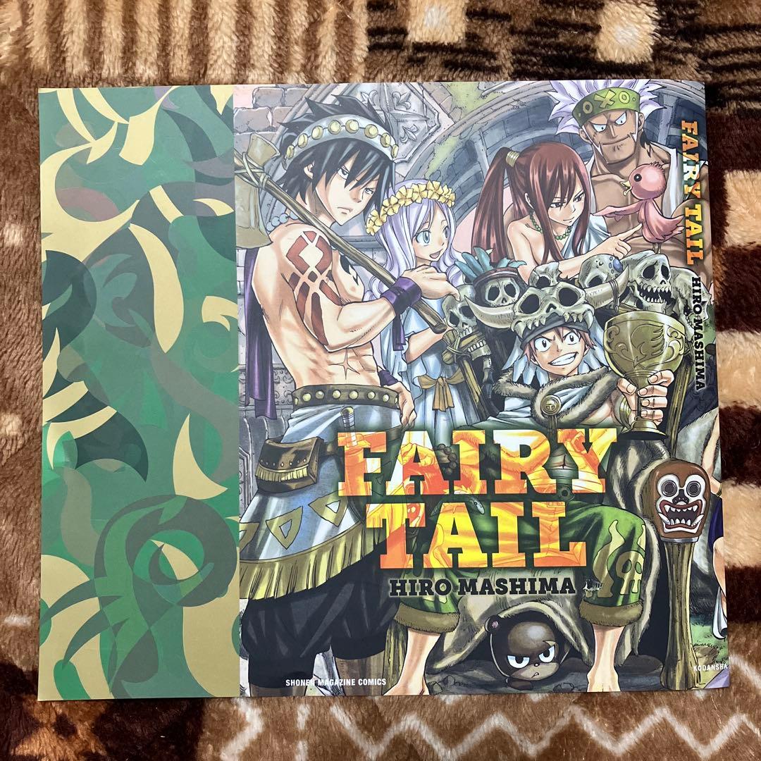 【非売品】月刊フェアリーテイルマガジン　FAIRYTAILブックカバー