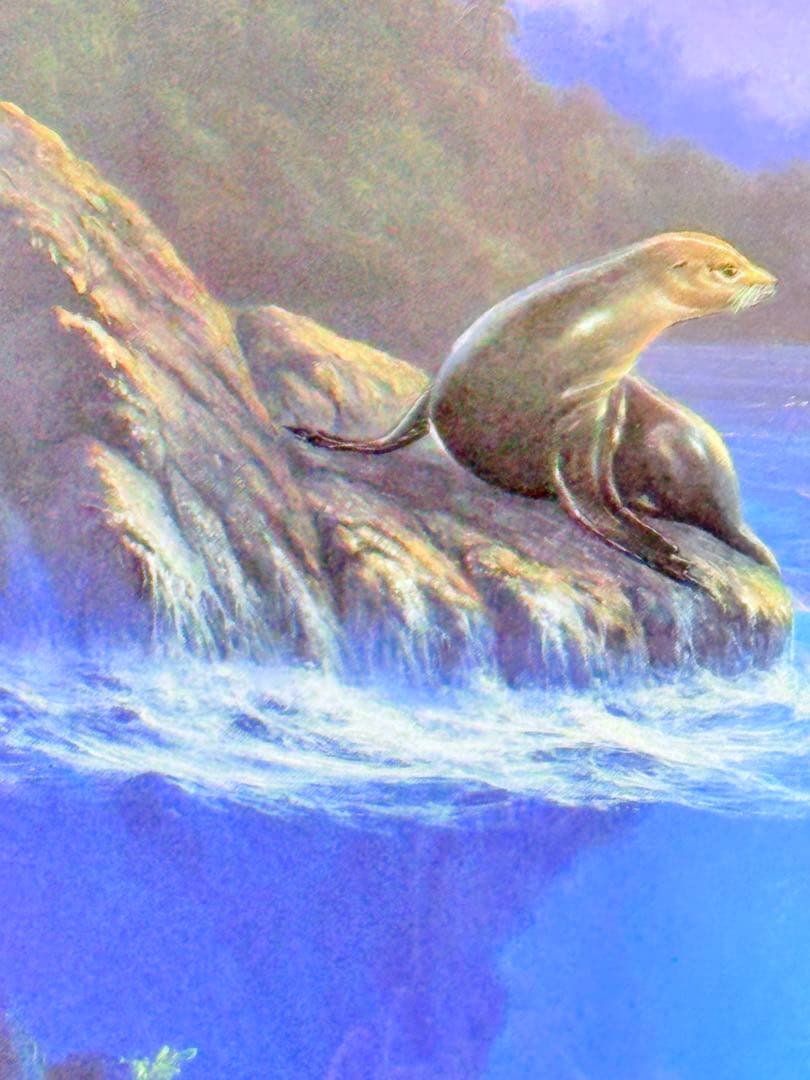 アンソニー・キャセイ　絵画 リトグラフ　イルカ 版画　大きめ 証明書 黄色袋付き