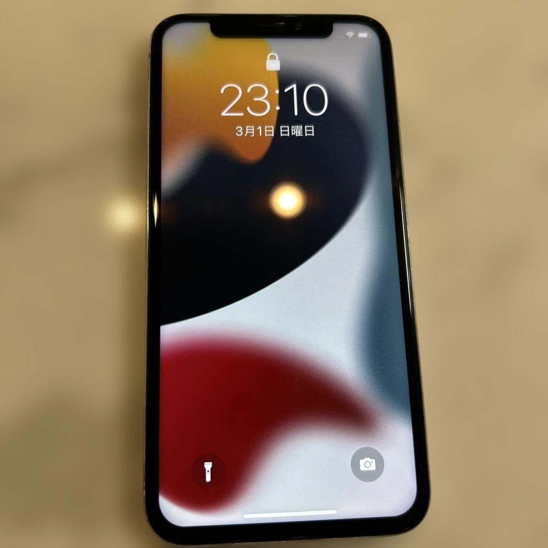 iPhoneX 本体 256GB