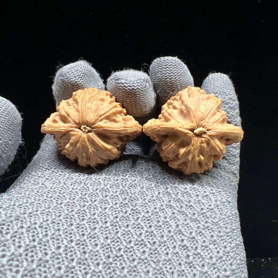 文玩堂：二扁文玩胡桃（稀少品）