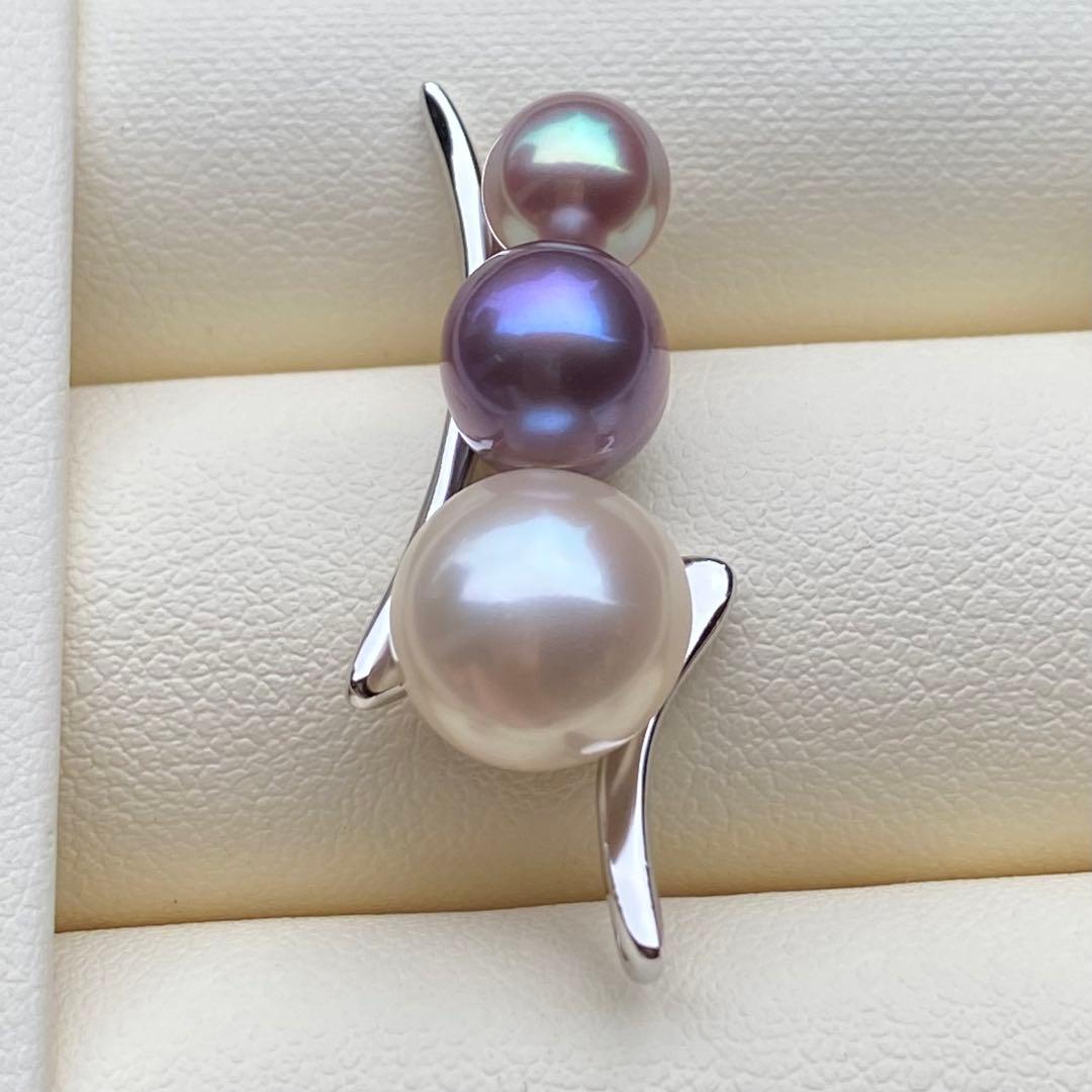 こたつねこ様　ご確認専用ページ251021