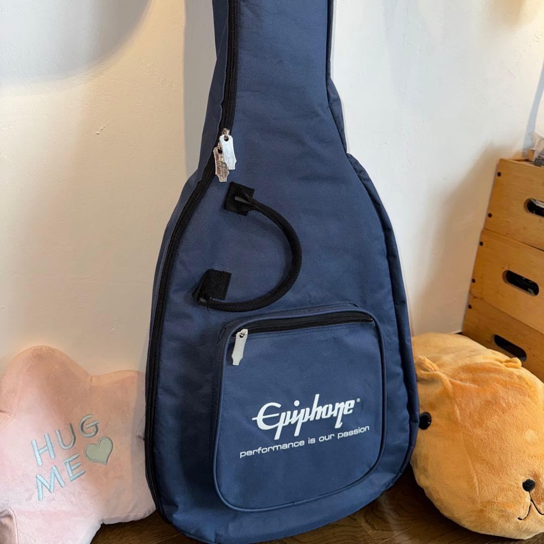 かわいい！おまけ付き！Dove pro ピックアップ付き！ナットサドル交換済み！