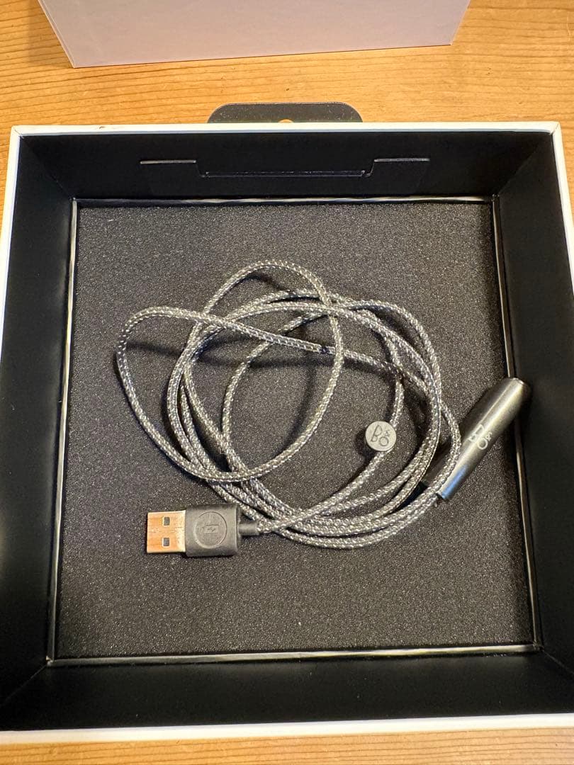 BANG & OLUFSEN E6 バング&オルフセン　ワイヤレスイヤホン