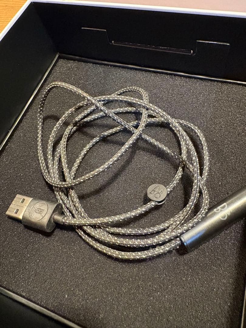 BANG & OLUFSEN E6 バング&オルフセン　ワイヤレスイヤホン