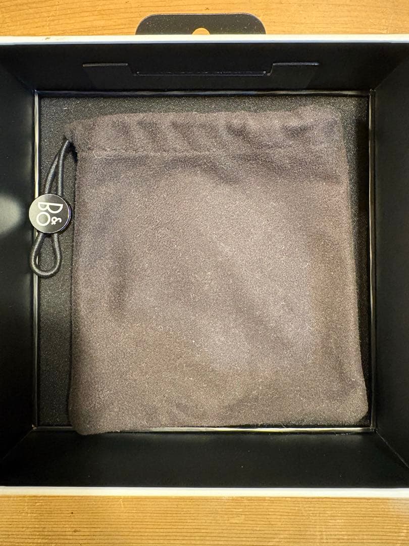 BANG & OLUFSEN E6 バング&オルフセン　ワイヤレスイヤホン