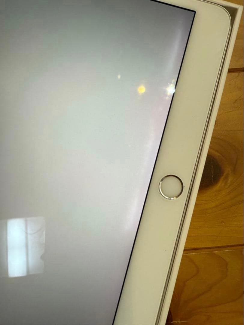 Apple iPad Pro 10.5インチ Wi-Fi 64GBシルバー 箱有