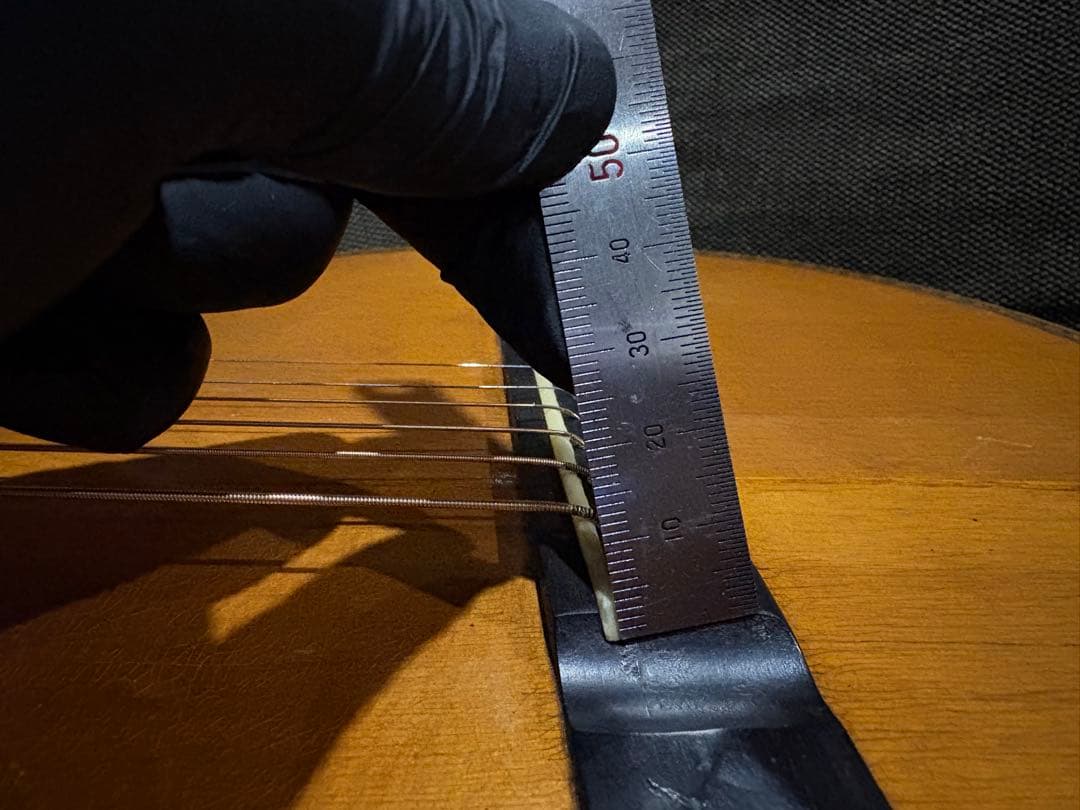 パーラーギター