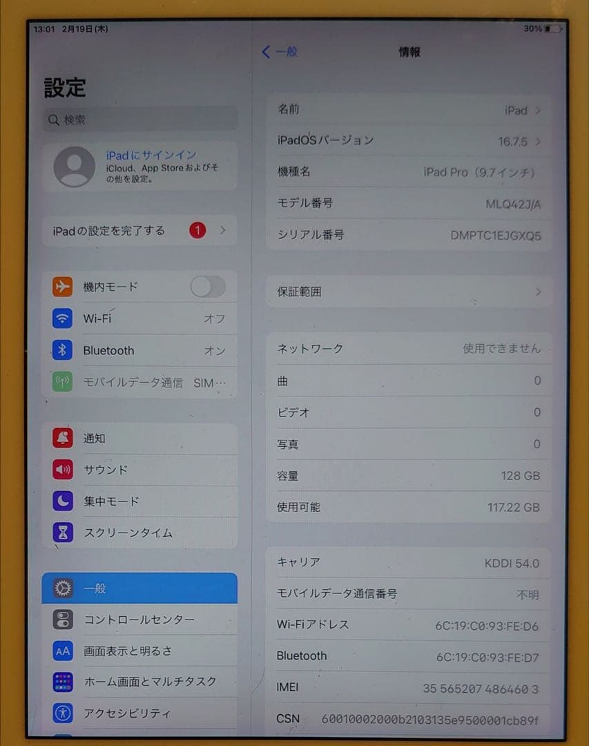 DMPTC完動品SIMフリーiPad Pro9.7インチ本体128GB送料込